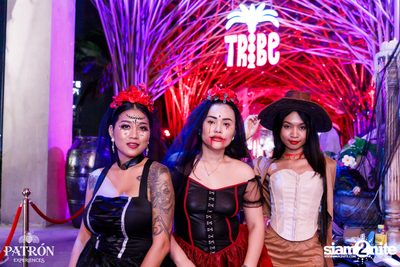 ภาพบรรยากาศงาน Patron Experiences presents Halloween Night at TRIBE Sky Beach Club — photo 35