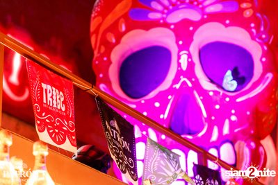 ภาพบรรยากาศงาน Patron Experiences presents Halloween Night at TRIBE Sky Beach Club — photo 43