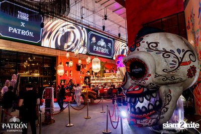 ภาพบรรยากาศงาน Patron Experiences presents Halloween Night at TRIBE Sky Beach Club — photo 97
