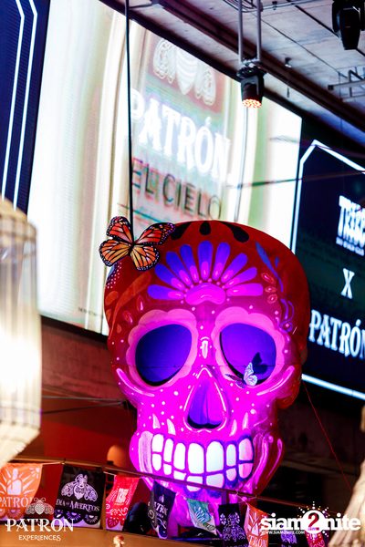 ภาพบรรยากาศงาน Patron Experiences presents Halloween Night at TRIBE Sky Beach Club — photo 98