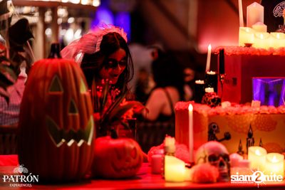 ภาพบรรยากาศงาน Patron Experiences presents Halloween Night at TRIBE Sky Beach Club — photo 100