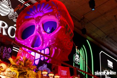 ภาพบรรยากาศงาน Patron Experiences presents Halloween Night at TRIBE Sky Beach Club — photo 129