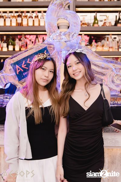Aesops 6th Birthday at Aesops Greek Restaurant & Rooftop — photo 36