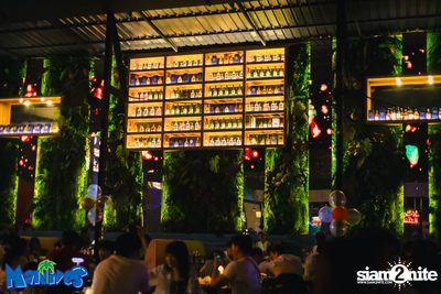 Tattoo Colour Concert at Maldives Bar Mengjai — photo 48