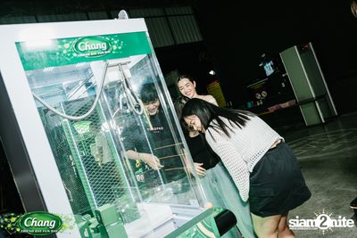 Chang Friend Day Fun Day presents Potato Live Concert at The Trap Kaset — photo 4