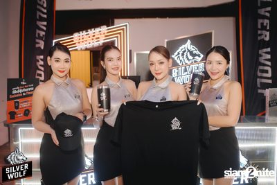 ภาพบรรยากาศ Silver Wolf presents Timethai concert ที่ Gumgueng — photo 29