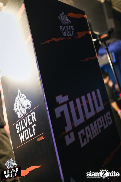 ภาพบรรยากาศงาน Silver Wolf presents Timethai concert ที่ Vibe Dept — photo 9
