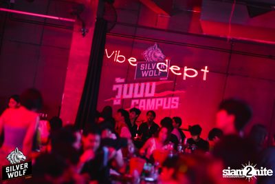 ภาพบรรยากาศงาน Silver Wolf presents Timethai concert ที่ Vibe Dept — photo 45