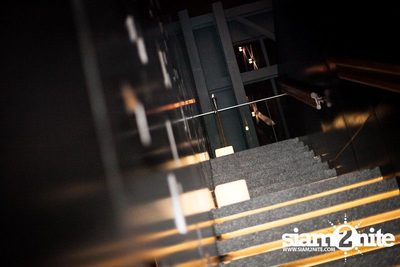 THE LUNATIC PARTY  — photo 41