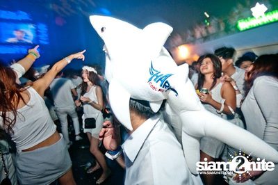 Heineken presents Sensation Thailand (Album 3 of 6) — photo 298