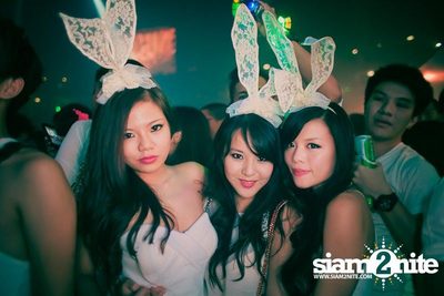 Heineken presents Sensation Thailand (Album 4 of 6) — photo 308
