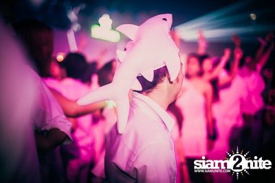 Heineken presents Sensation Thailand (Album 4 of 6) — photo 409
