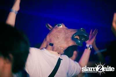 Heineken presents Sensation Thailand (Album 4 of 6) — photo 333