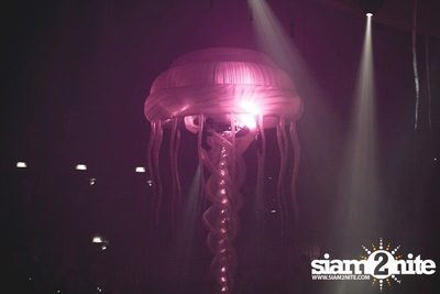 Heineken presents Sensation Thailand (Album 5 of 6) — photo 404