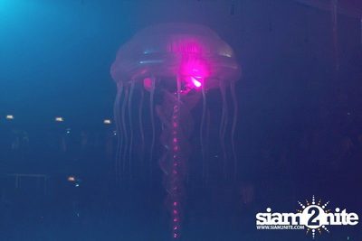 Heineken presents Sensation Thailand (Album 5 of 6) — photo 403
