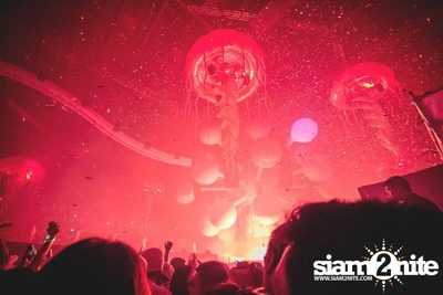Heineken presents Sensation Thailand (Album 5 of 6) — photo 175