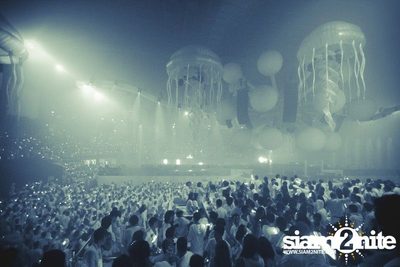 Heineken presents Sensation Thailand (Album 5 of 6) — photo 425