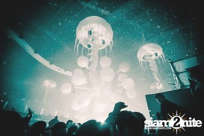 Heineken presents Sensation Thailand (Album 5 of 6) — photo 177