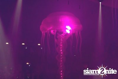Heineken presents Sensation Thailand (Album 5 of 6) — photo 405