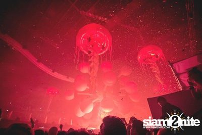Heineken presents Sensation Thailand (Album 5 of 6) — photo 176