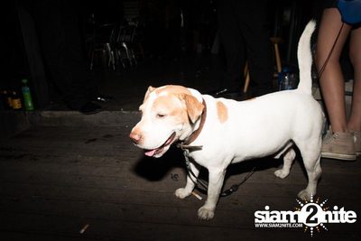Trasher pres. The Office Party — photo 113
