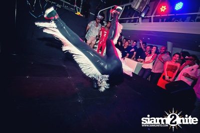 Champion Sound IV BIRTHDAY — photo 48