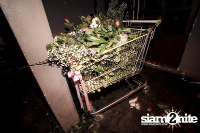 Trasher pres. Wedding Crasher — photo 118
