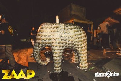 ZAAP Party (Album 1 of 2) — photo 247