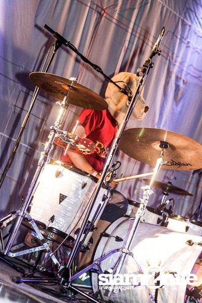 SUPERSWEET Live! presents the Dodos Day Fest — photo 24